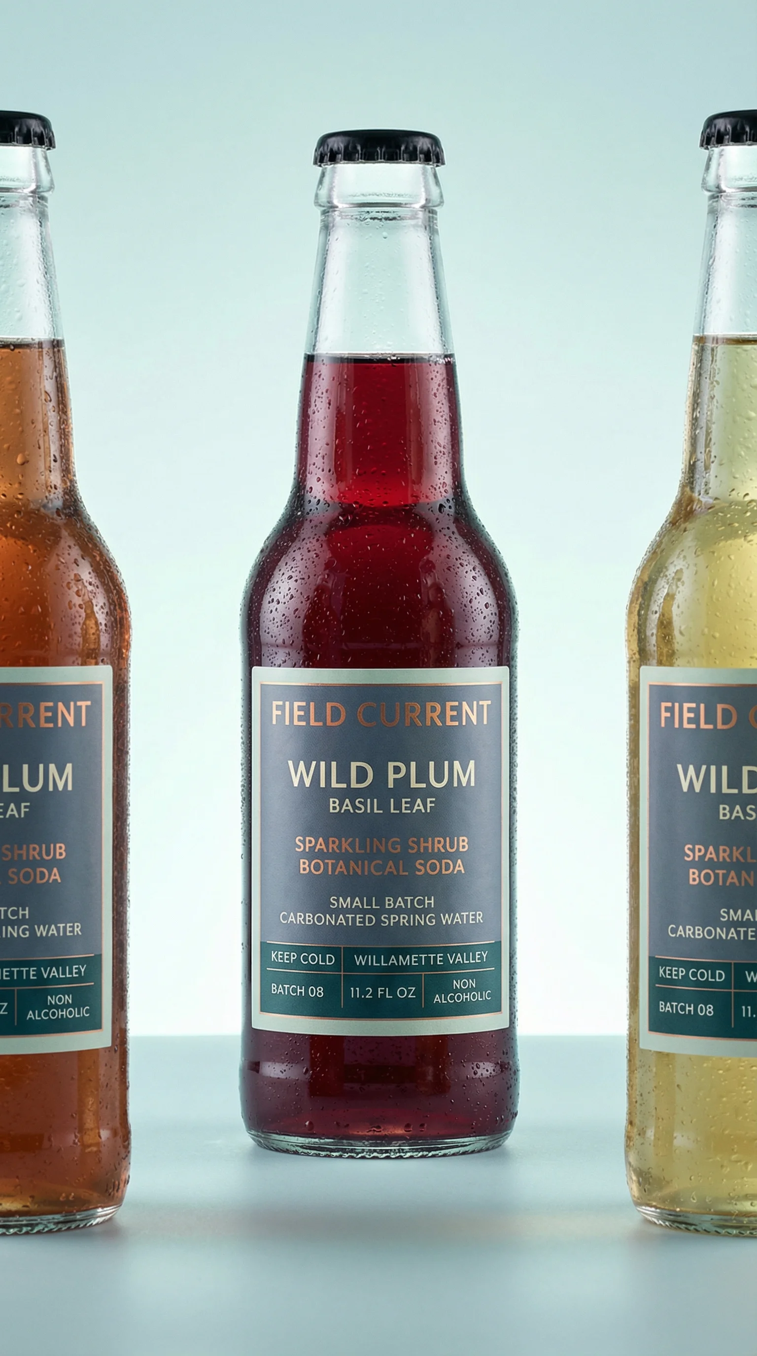 Chilled Shrub Soda Trio scene example for Meta Ad Image Sizes for Ecommerce Creative